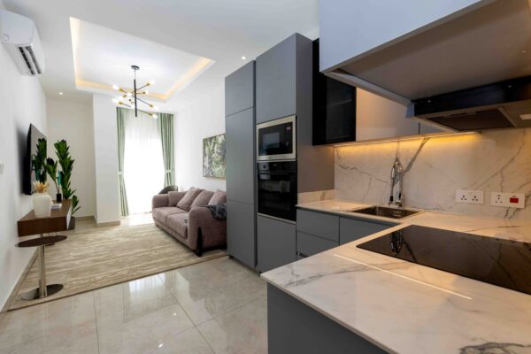1 Bedroom B - One Elm